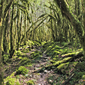 L'Arriou Sec - Arthez d'Asson - Cadre photo 30 x 30 cm