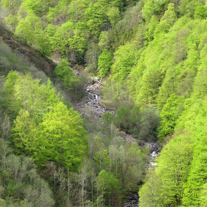 L'Ouzoum au printemps - Arbéost - Cadre photo 30 x 30 cm
