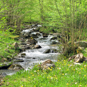 Hougarou - Ferrières - Cadre photo 30 x 30 cm