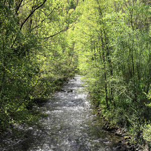 L’Ouzoum fête le printemps - Arthez d'Asson - Cadre photo 30 x 30 cm