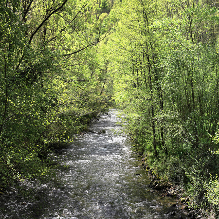 L’Ouzoum fête le printemps - Arthez d'Asson - Cadre photo 30 x 30 cm