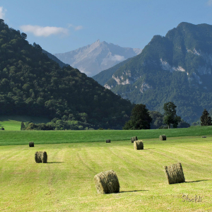 Les foins - Arthez d'Asson - Cadre photo 30 x 30 cm
