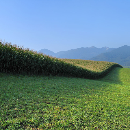 Couverture maïs - Asson - Cadre photo 30 x 30 cm