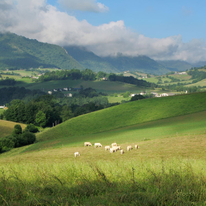 Pastorale du printemps - Asson - Cadre photo 30 x 30 cm