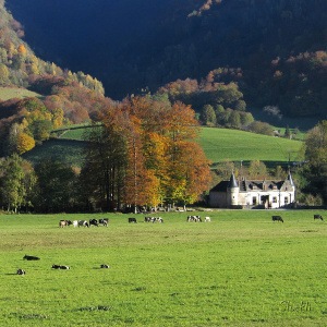 Château des Forges - Arthez d'Asson - Cadre photo 30 x 30 cm