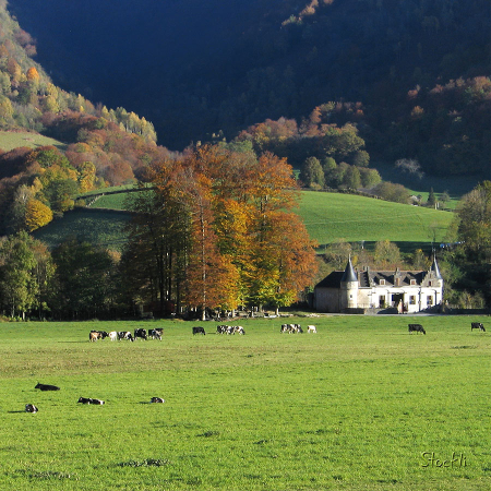Château des Forges - Arthez d'Asson - Cadre photo 30 x 30 cm