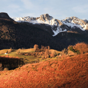 Le Bénou - Bilhères - Carte postale 21 x 10 cm