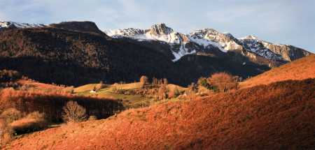 Le Bénou - Bilhères - Carte postale 21 x 10 cm