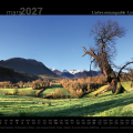 Calendrier des Pyrénées 2027 - Mars - L’arbre remarquable - Lys © Photographie Stockli